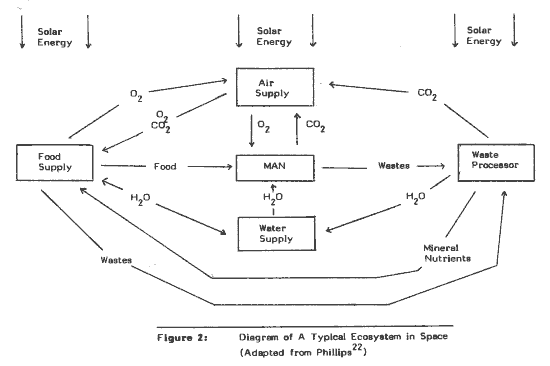 Diagram of a Typical Ecosystem in Space